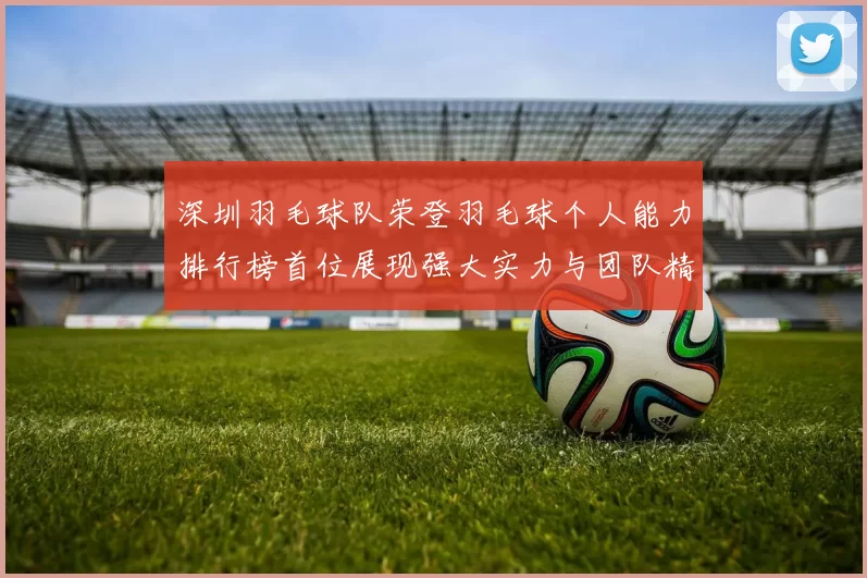 深圳羽毛球队荣登羽毛球个人能力排行榜首位展现强大实力与团队精神