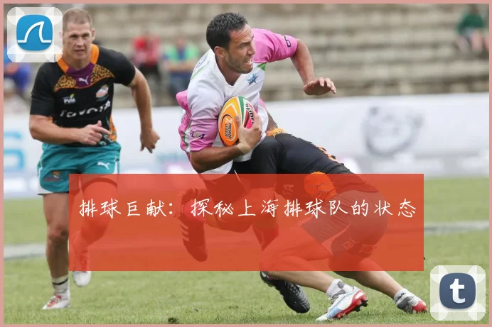 排球巨献：探秘上海排球队的状态