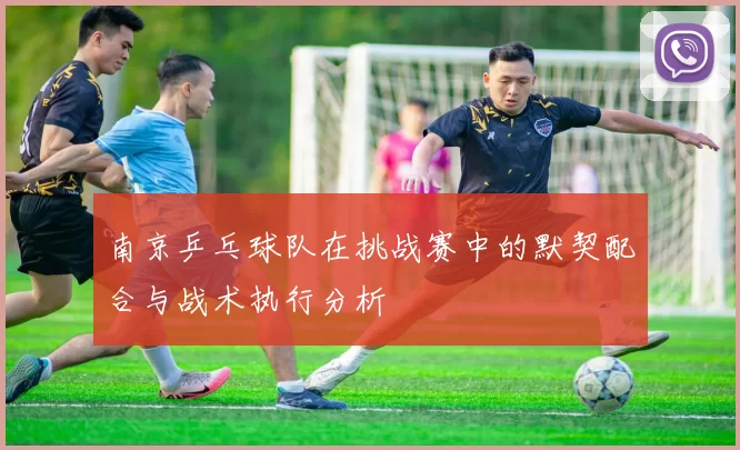 南京乒乓球队在挑战赛中的默契配合与战术执行分析