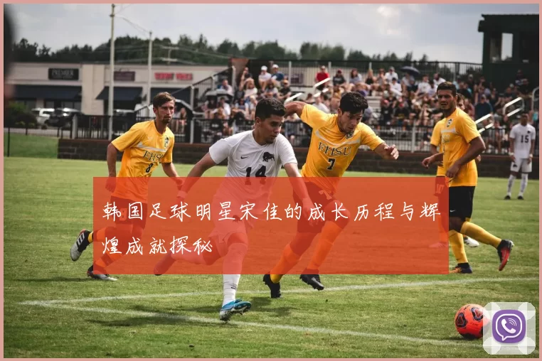 韩国足球明星宋佳的成长历程与辉煌成就探秘