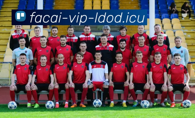 九游体育平台生态图