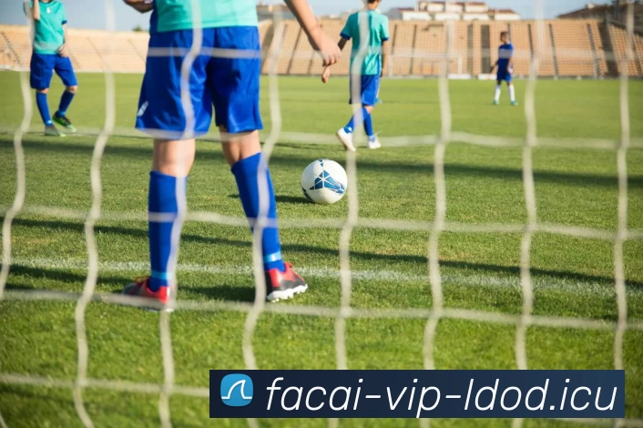 九游体育APP 封面图